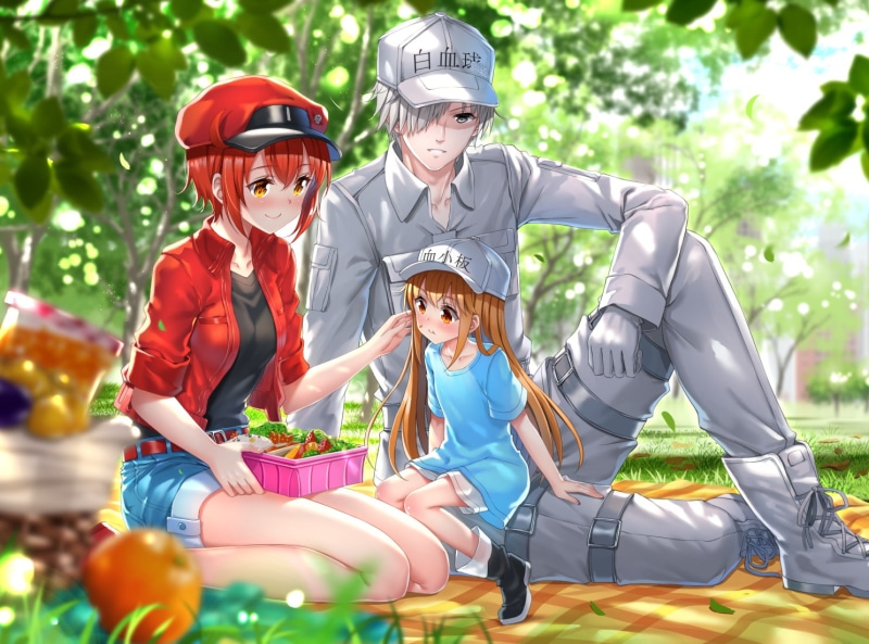 short hair, anime, shorts, Hataraku Saibou, Platelet-chan, Blood (anime), picnic, 720P