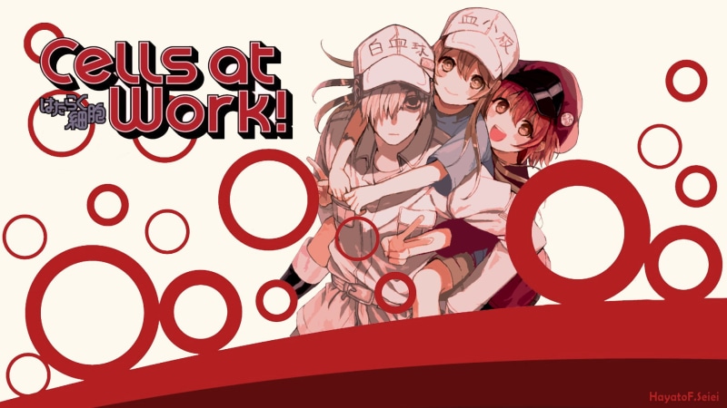Anime, 1080P, Platelet (Cells at Work!), Hataraku Saibou, Cells at Work!