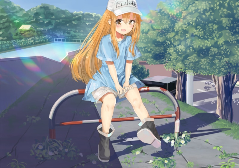 Hataraku Saibou, Cells at Work!, Platelet (Cells at Work!), Anime, 1080P