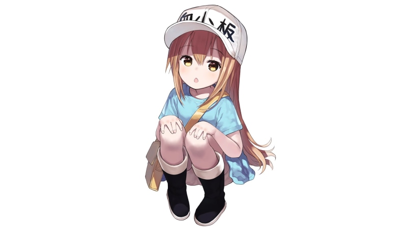 peaked cap, white background, 1080P, Hataraku Saibou, sitting, bangs, manga, open mouth, T-shirt, minimalism, holding knees, Platelet-chan, shorts, blushing
