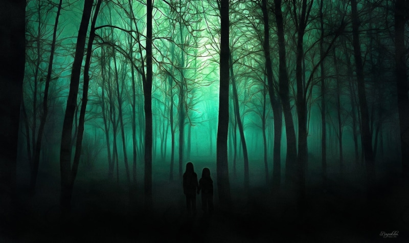 fog, trail, spooky, walking, unrecognizable person, woodland, 1080P, tree, plant, tree trunk, trunk, nature, land, fear, tranquil scene, people, tranquility