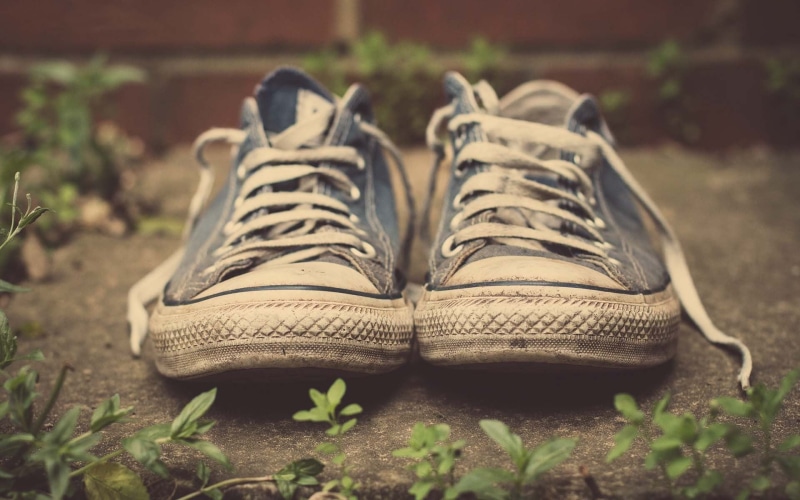 plant part, white, close-up, lace - fastener, low, personal accessory, blue, top, compatibility, no people, absence, dirt, day, leaf, growth, shoe, still life