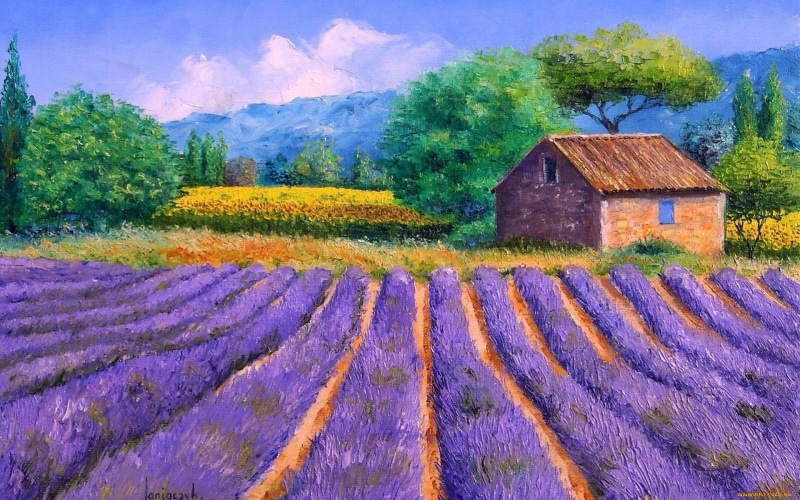 artist, 1080P, house, artyu field, impressionist, lavender, jean marc janiaczyk