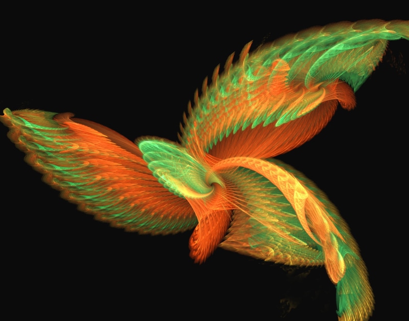 marine, swirl, pattern, animal, symbol, light, fish, 1080P, animal themes, green color, art, no people, nature, feathers, surreal, studio shot, illuminated