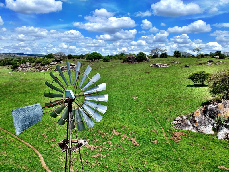 field, aerial view, no people, top view, day, water, tranquil scene, 4K, landscape, renewable energy, cow, blue sky, growth, plant, sky, drone view, campina grande