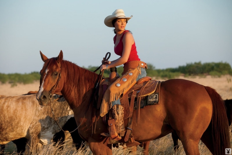 tops, chaps, women, hats, straw, animals, playboy, brunettes, horses, tank, art, magazine, 720P, outdoors, cows, hat, hd, straws