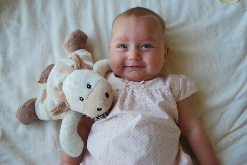 laugh, front view, child, toy, girl, lifestyles, baby, portrait, cow, childhood, babyhood, stuffed toy, beside, high, 4K, small, caucasian Ethnicity, angle