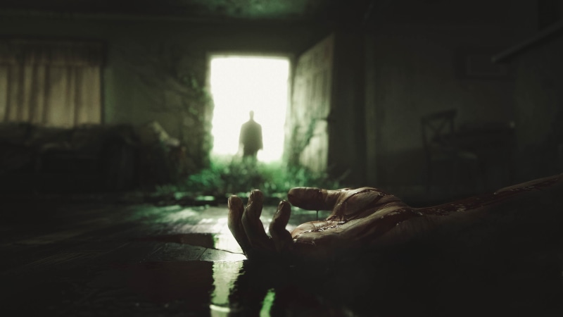 relaxation, day, mammal, 2017 games, nature, hd, building, indoors, no people, one animal, the last of us, lying down, 4k, abandoned, architecture, built structure