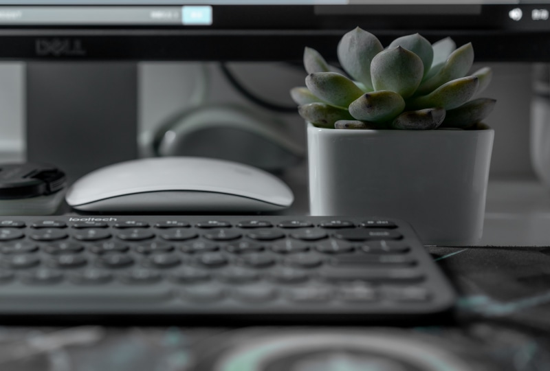 laptop, computer equipment, technology, computer keyboard, jiangsu,wuxi, electronics, business, desktop pc, near, 中国, succulent, appliance, connection