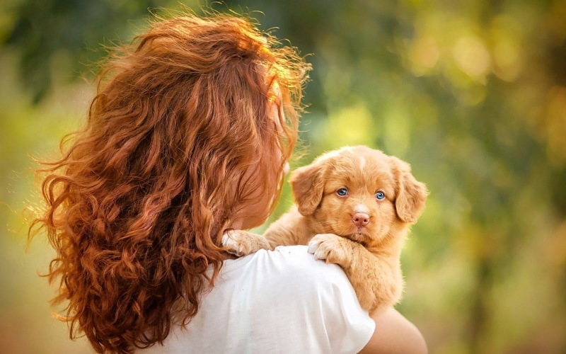 redhead, puppies, hair, one animal, affectionate, domestic animals, positive emotion, pets, teenager, emotion, canine, mammal, adult, hairstyle, bokeh
