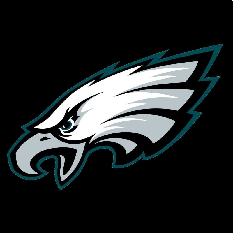 animal representation, animal, pattern, design, black background, animal themes, Philadelphia Eagles, representation, American football, city, copy space