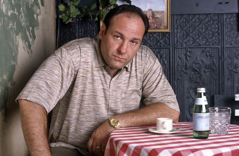 drink, casual clothing, looking at camera, mature adult, James Gandolfini, Tony Soprano, depression - sadness, indoors, refreshment, lifestyles, one person
