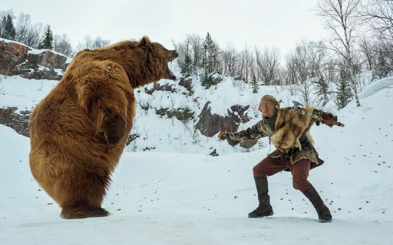Vikings (TV Series), field, bears, land, day, pets, warm clothing, vertebrate, Björn Ironside, men, nature, animals, one animal, winter, snow, Axes, domestic animals