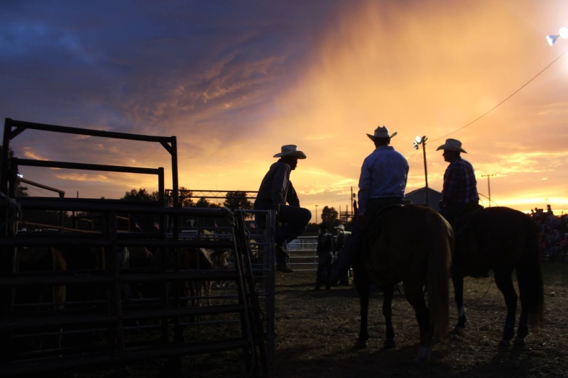 vertebrate, cowboy silhouette, sunset, farm, Hat, another, Rodeo, horse, western background, orange color, nature, men, cowboy background, outdoors, transportation