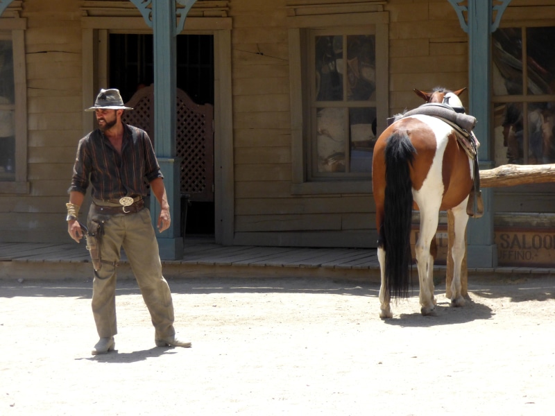 herbivorous, sunlight, livestock, 4K, day, hollywood, vertebrate, men, cow, cowboy, standing, movie, people, mammal, sun, revolver, domestic animals, shadow