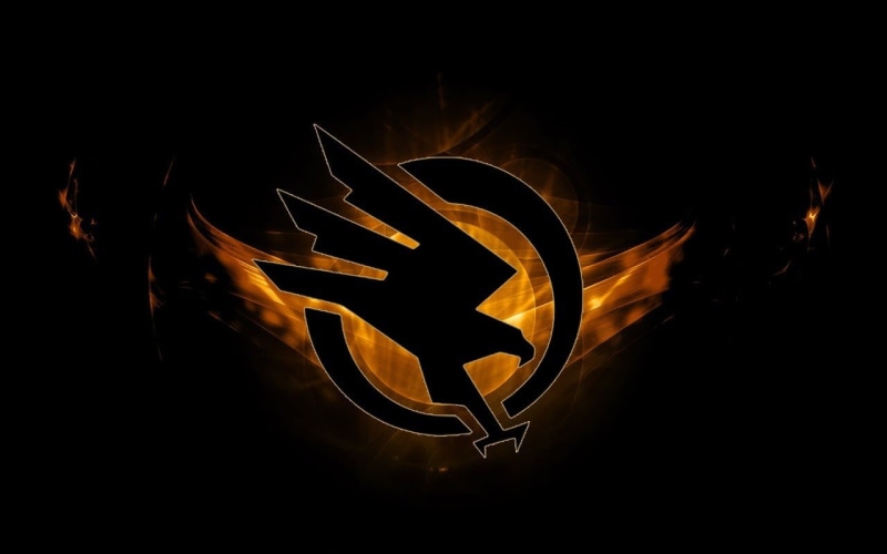flame, print, 720P, orange color, dark, communication, studio shot, eagle, creativity, arts culture and entertainment, fire, burning, motion, long exposure