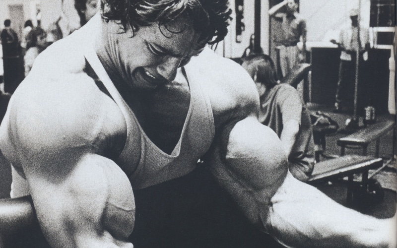 2K, Bodybuilder, Schwarzenegger, Arnold