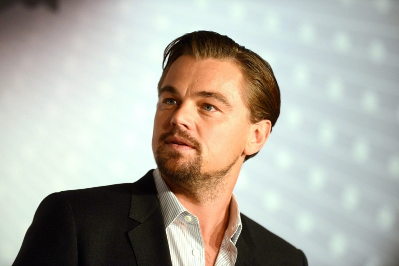 office, pitt, indoors, modern, pensive, head And Shoulders, young Adult, beard, actor, mid adult men, standing, adults Only, one Man Only, business, brad