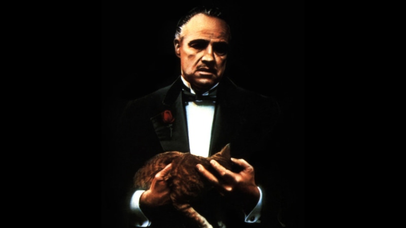 1080P, The Godfather, cat, Marlon Brando