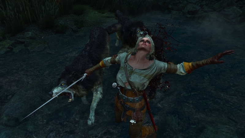 CRIS, The Witcher 3, 5K, The Witcher 3 Wild Hunt, The Witcher, Cirilla