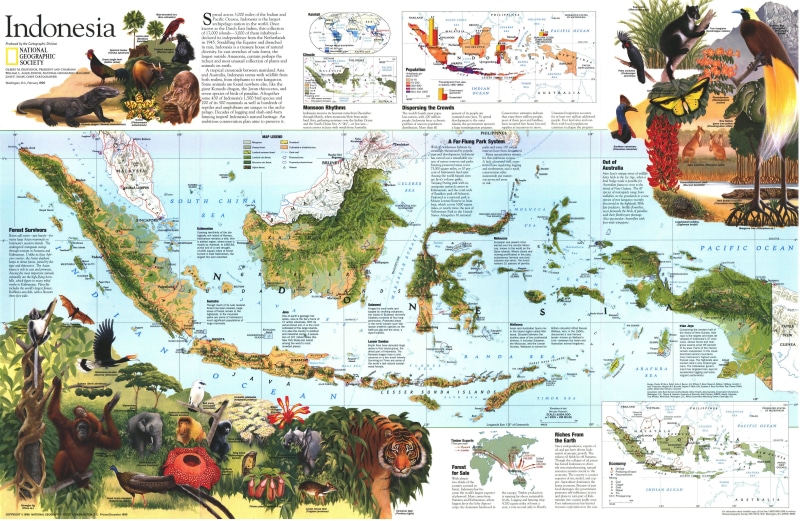 vertebrate, craft, full frame, nature, National Geographic, creativity, text, male likeness, map, representation, indoors, mammal, one animal, 4K, human representation
