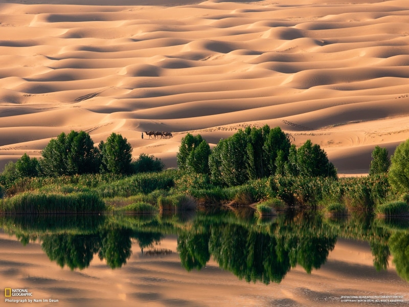 720P, National Geographic