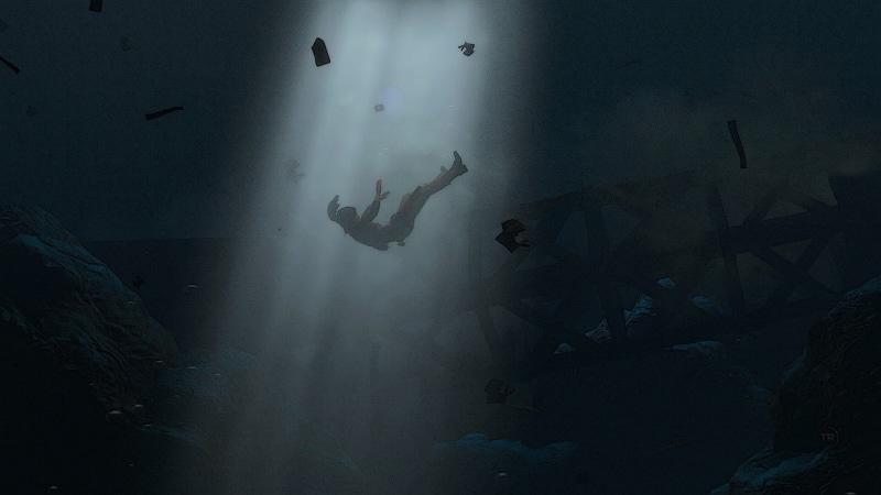marine, Rise of the Tomb Raider, vertebrate, people, swimming, sea, unrecognizable person, water, lifestyles, men, silhouette, animal wildlife, outdoors