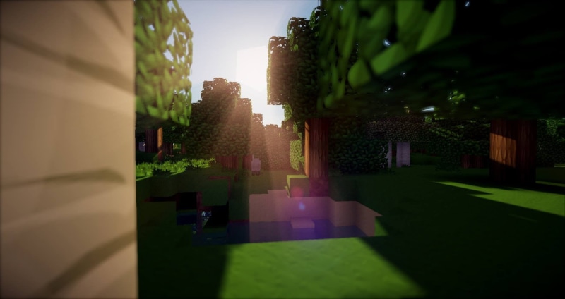 plant, city, shadow, building exterior, hedge, Minecraft, window, green color, house, outdoors, clear sky, architecture, tree, sunny, residential district
