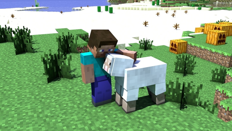 1080P, cinema, minecraft, tapeta, steve, sheep