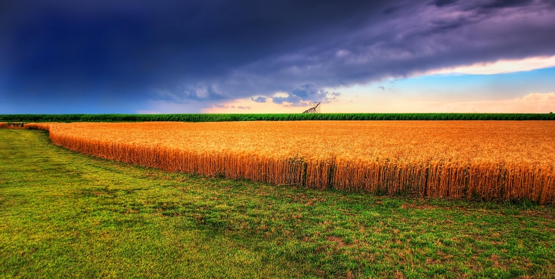 nikon  d300, Explore, field, outdoors, July  July, United States of America, sunset, hdr, photomatix, digital picture, heartland, 2K, nature, gold  field