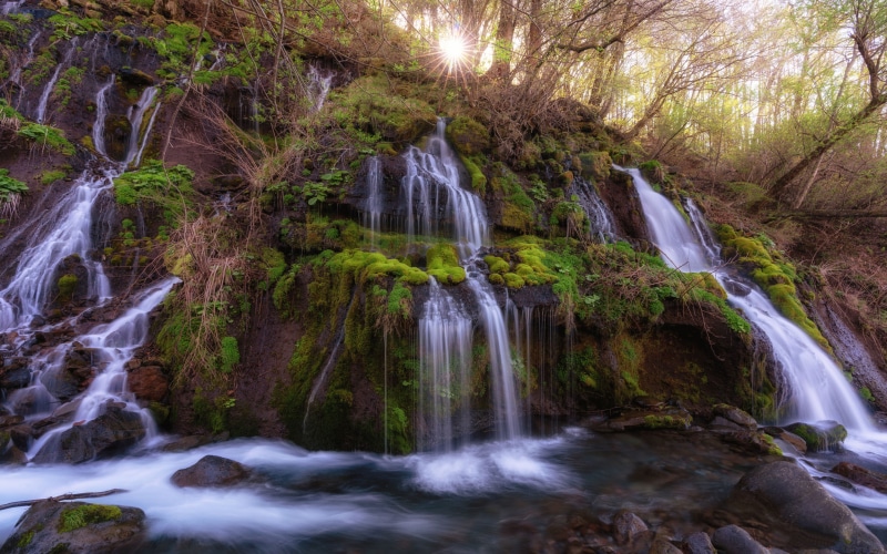 scenics - nature, rainforest, environment, desktop, waterfall, phones, water, nature, falling water, falls, solid, long exposure, 4K, flowing