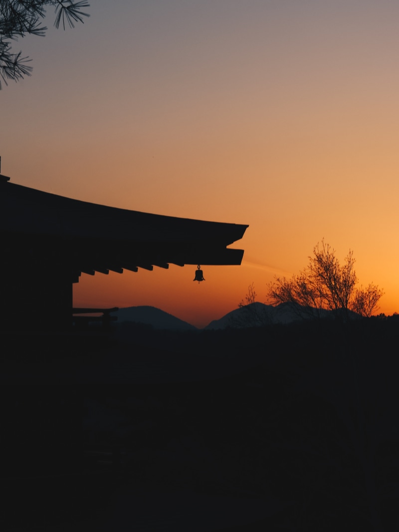 no people, silhouette, fujiyoshida-shi, environment, sunset, pagoda, mountain, temple, buddhist, air vehicle, plant, chureito, outdoors, scenics - nature