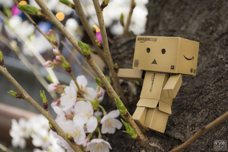 toy, cherry blossom, focus on foreground, flowering plant, no people, art and craft, nature, dunboard, spring, Danbo, Japan, Japanese, wood - material