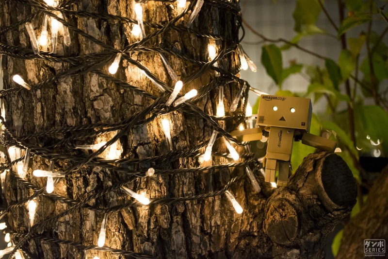 tree trunk, leaf, tree, Danbo, close-up, relaxing, technology, Amazon, black, real, illuminated, camouflage, plant, wood - material, anime, branch, 1080P