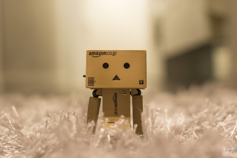 plant, night, Osaka, nature, selective focus, land, representation, field, no people, power supply, communication, day, 1080P, Danbo, Japanese Garden