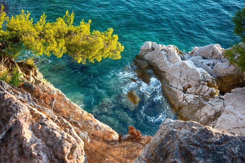 high angle view, fragment, rock formation, rocky coastline, brown, no people, land, black, pine trees, sea, nature, beauty in nature, plant, 2K, day, beach