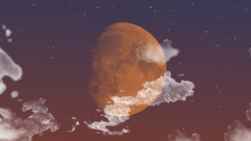 nature, close-up, space, animal wildlife, animal, cloud - sky, sea, astronomy, fragment, outdoors, beauty in nature, 1080P, night, jellyfish, digital composite