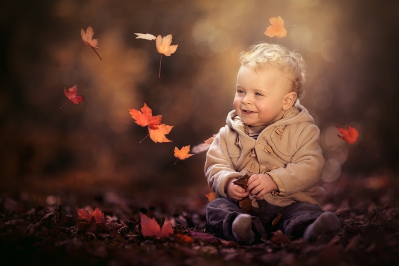 leaves, boy, jacket, pants, baby, bokeh, nature, autumn, child, Paul Webb, 1080P