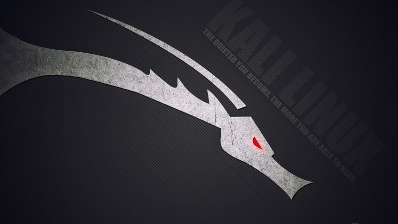 simple background, dragon, logo, 1080P, Linux, Kali Linux NetHunter, Kali Linux, tech, hacking