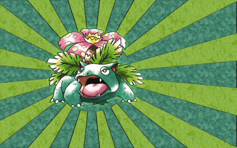 cartoon, plant part, no people, craft, pokemon, artwork, Bulbasaur, animal representation, 720P, pattern, illustration, outdoors, butterfly - insect, leaf