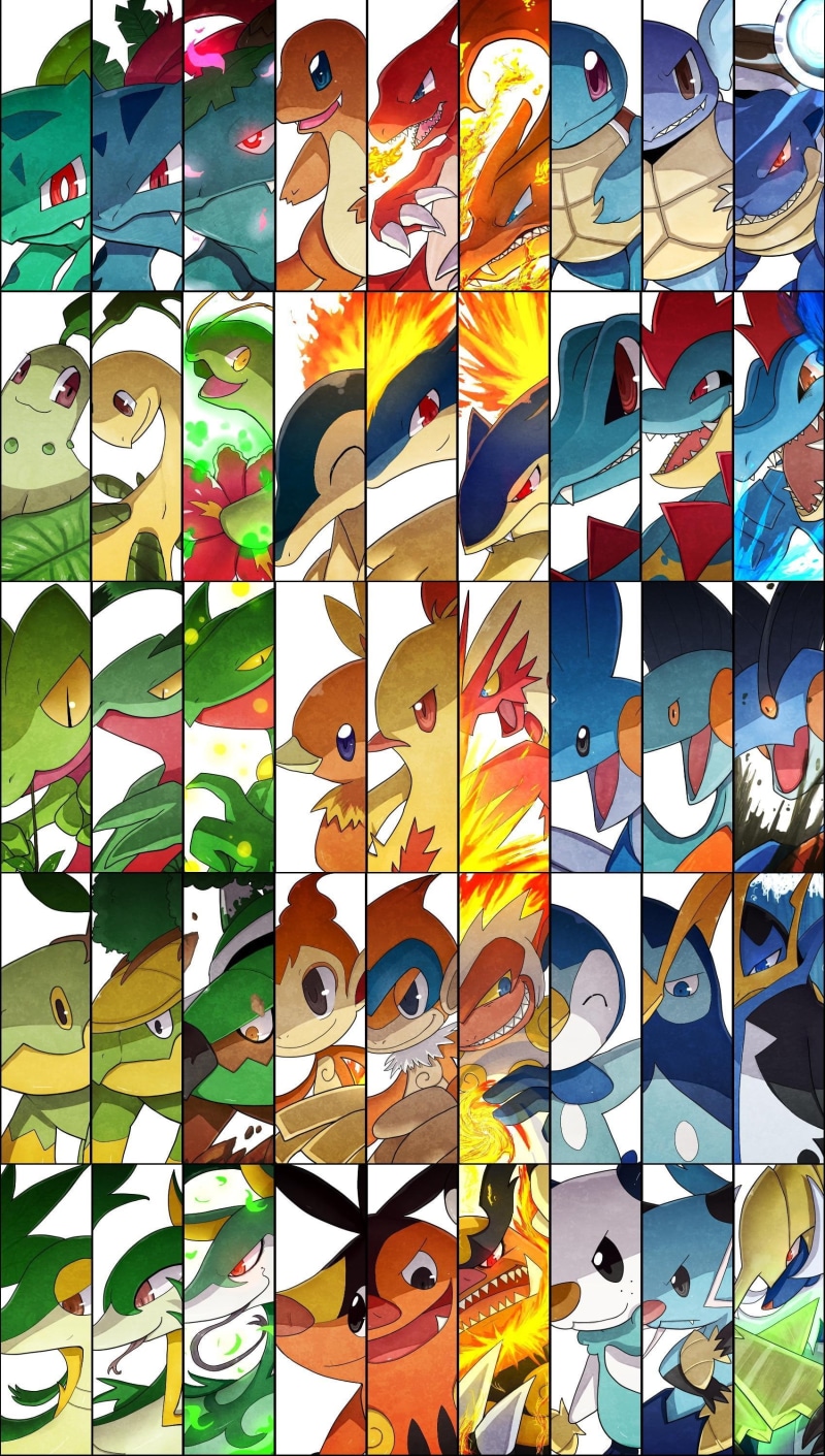 venusaur, art, blastoise, charmeleon, totodile, pokemon, squirtle, Bulbasaur, ivysaur, hd, treecko, c, wartortle, mudkip, anime, 2K