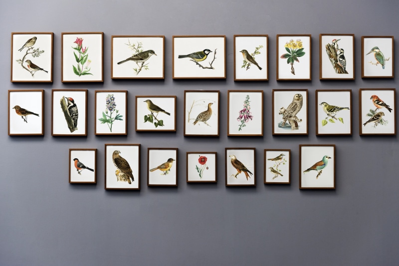 art gallery, no people, wall, gallery, collection, framework, exhibit, paintings, 5K, retro, large group of objects, decorative, drawing, variation, picture