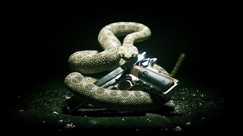 no people, reptile, high angle view, close-up, animal, grey, warning sign, one animal, 2K, toy, communication, still life, video games, poisonous, animal wildlife