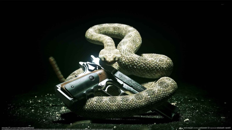 sign, 1080P, close-up, metal, no people, security, snake, communication, animal representation, reptile, animal themes, studio shot, one animal, hitman absolution snake pc gaming gun