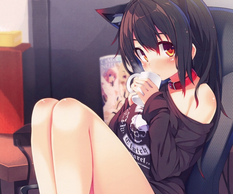 238871, blush, konachan, black, drink, com, collar, meina, hair, chiri, photoshop, brown, 1080P, long, animal, scan, catgirl, (atlanta), cropped, ears