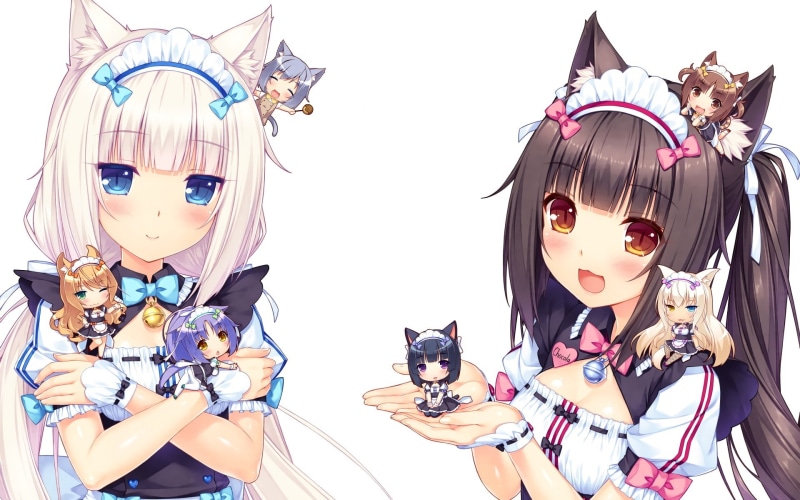 (sayori), 1080P, 235679, coconut, nekopara, maple, minazuki, sayori, com, aliasing, vanilla, animal, shigure, photoshop, chibi, ears, azuki, white, catgirl