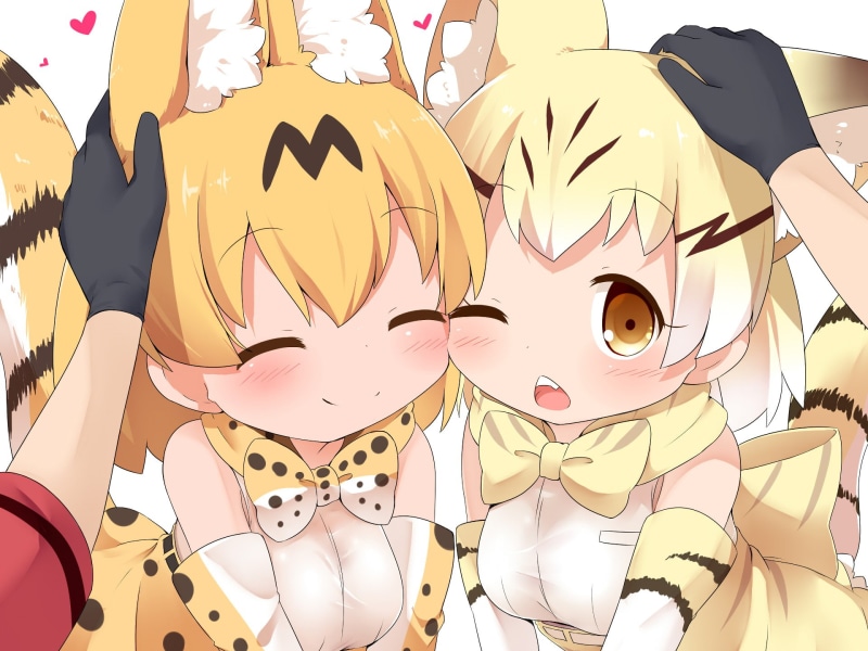Kemono Friends, Sand Cat (Kemono Friends), Anime, 1080P, Serval (Kemono Friends)
