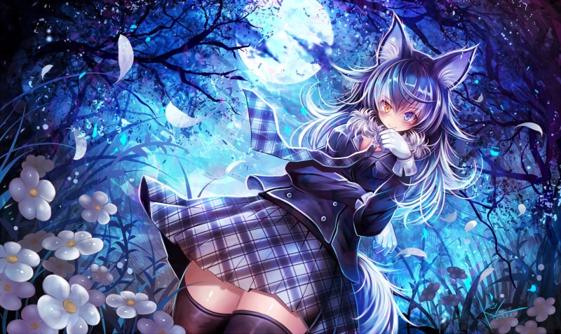 Skirt, Girl, Moon, Night, 1080P, Kemono Friends, Grey Wolf (Kemono Friends), Blush, Anime, Animal Ears, Heterochromia