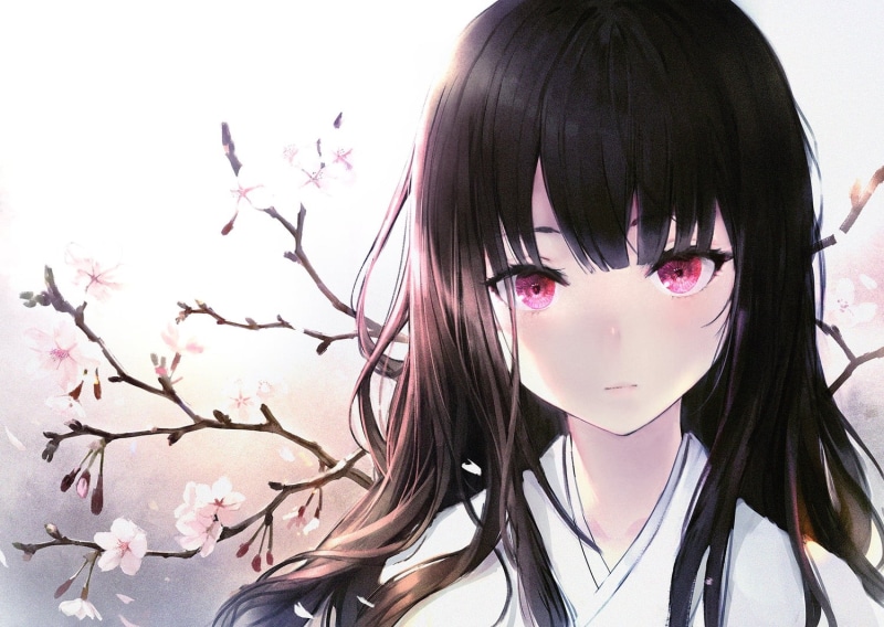 black hair, pink eyes, Japanese clothes, kimono, cherry blossom, long hair, anime, 720P, flowers