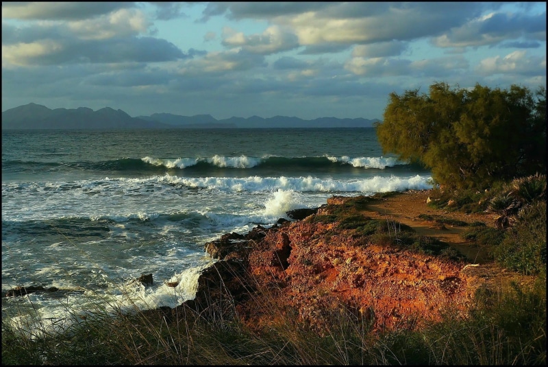 non-urban scene, mood, coast, rock, beauty in nature, sea, east coast mallorca, tree, outlook, white, tranquility, mallorca, blue, tranquil scene, mountain